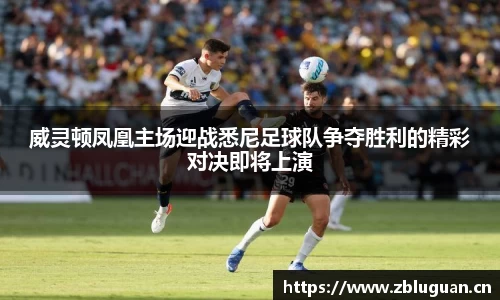 威灵顿凤凰主场迎战悉尼足球队争夺胜利的精彩对决即将上演